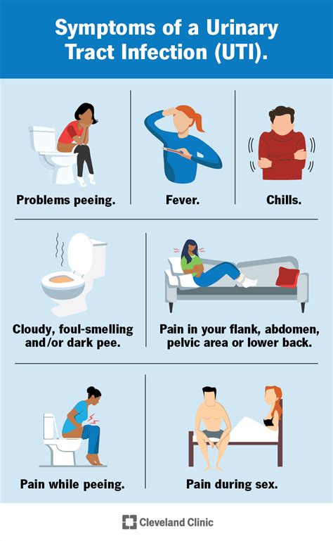 conditions similar to uti but are not
